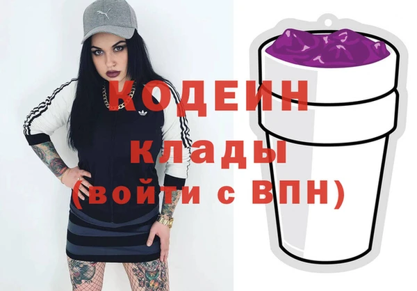 шишки Медногорск