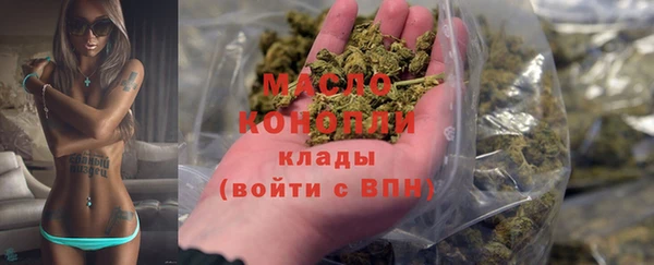 шишки Медногорск