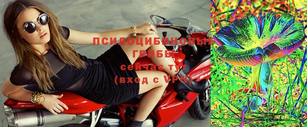 PSILOCYBIN Медвежьегорск
