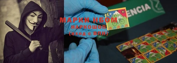 PSILOCYBIN Медвежьегорск