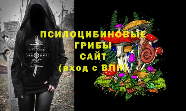 PSILOCYBIN Медвежьегорск