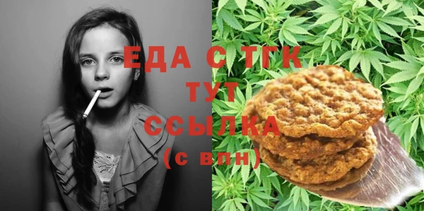 шишки Медногорск