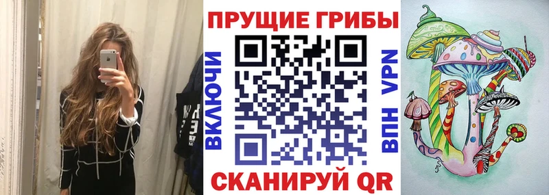 Галлюциногенные грибы Psilocybe  Купить закладки  Минеральные Воды 